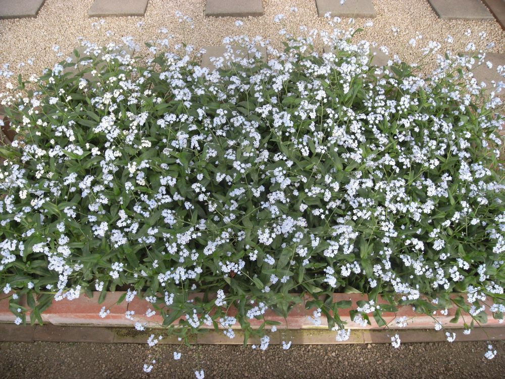 ���X���i�O�T�Q�X