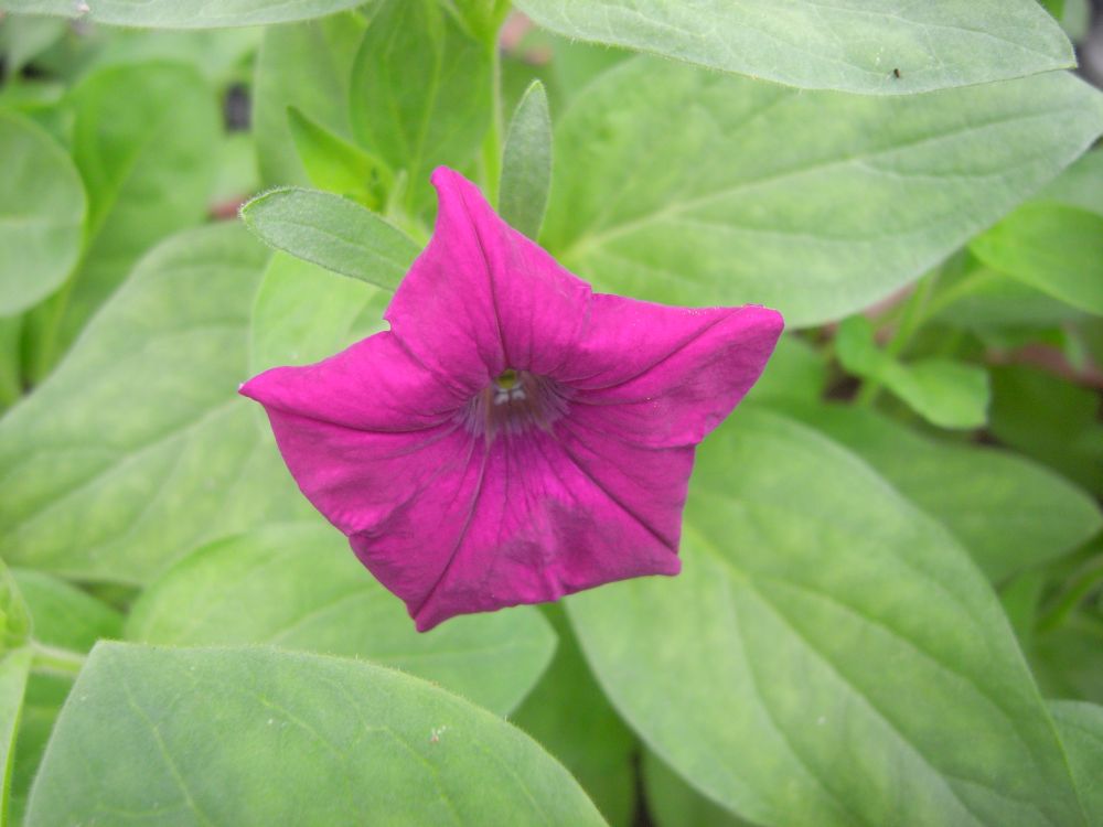 �y�`���j�A�V