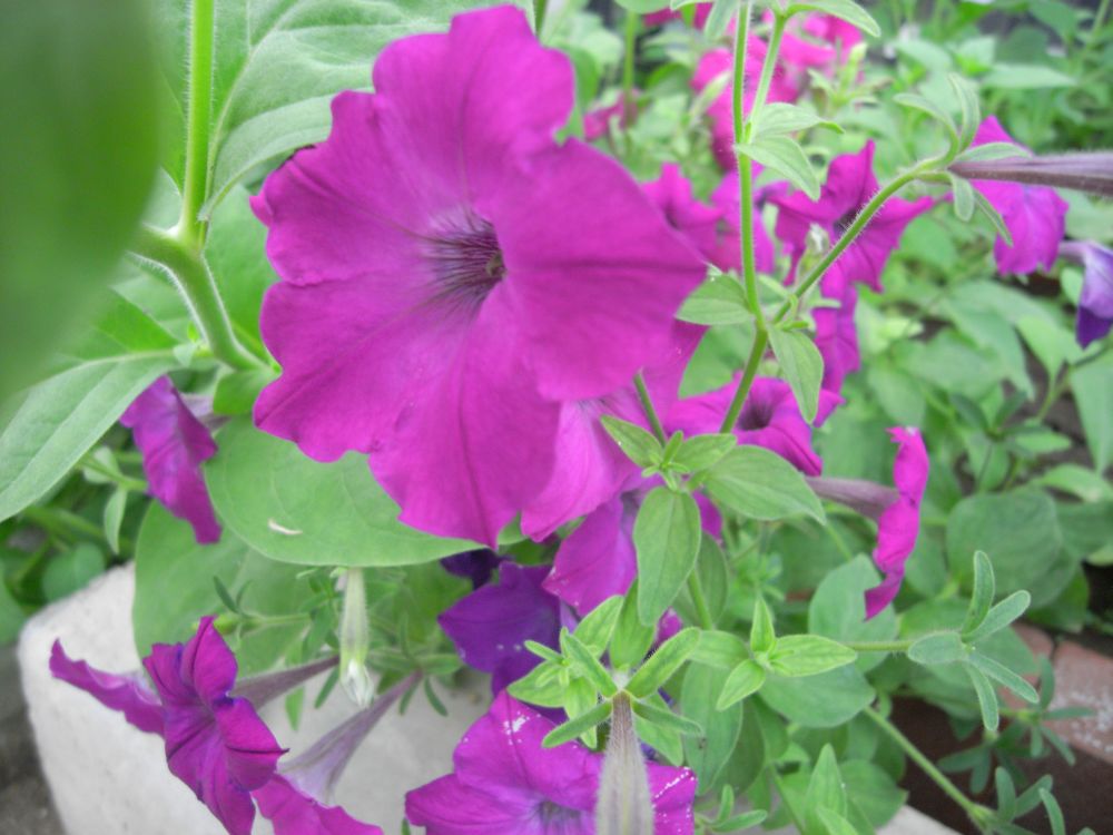 �y�`���j�A�W