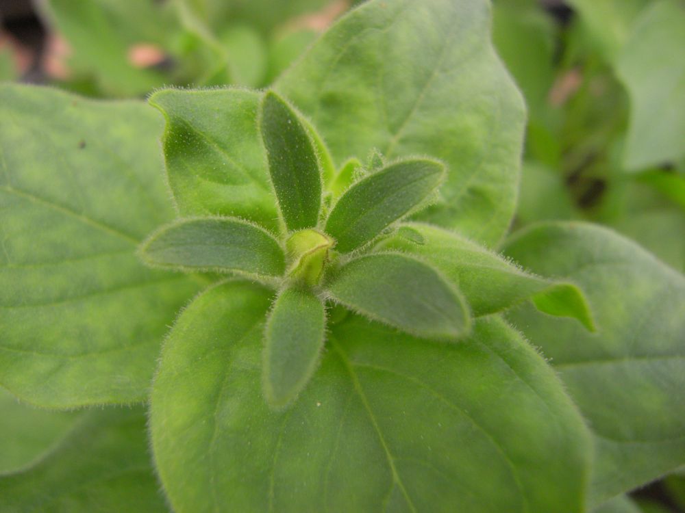 �y�`���j�A�R�O