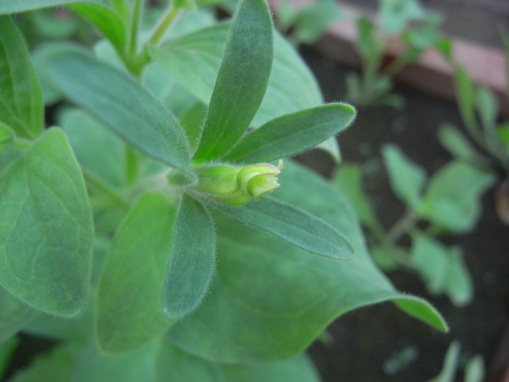 �y�`���j�A�R�R