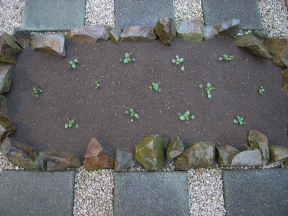 �c�̐A���t����ƂS