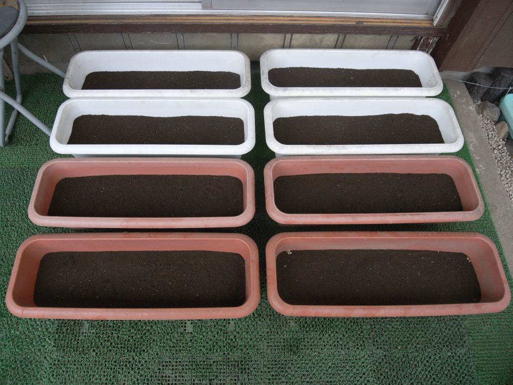 �c�̐A���t����ƂU