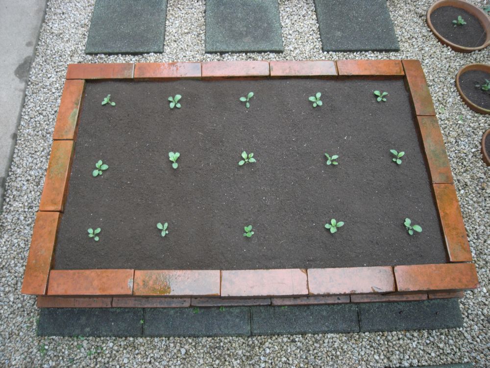 �c�̐A���t����ƂP�O