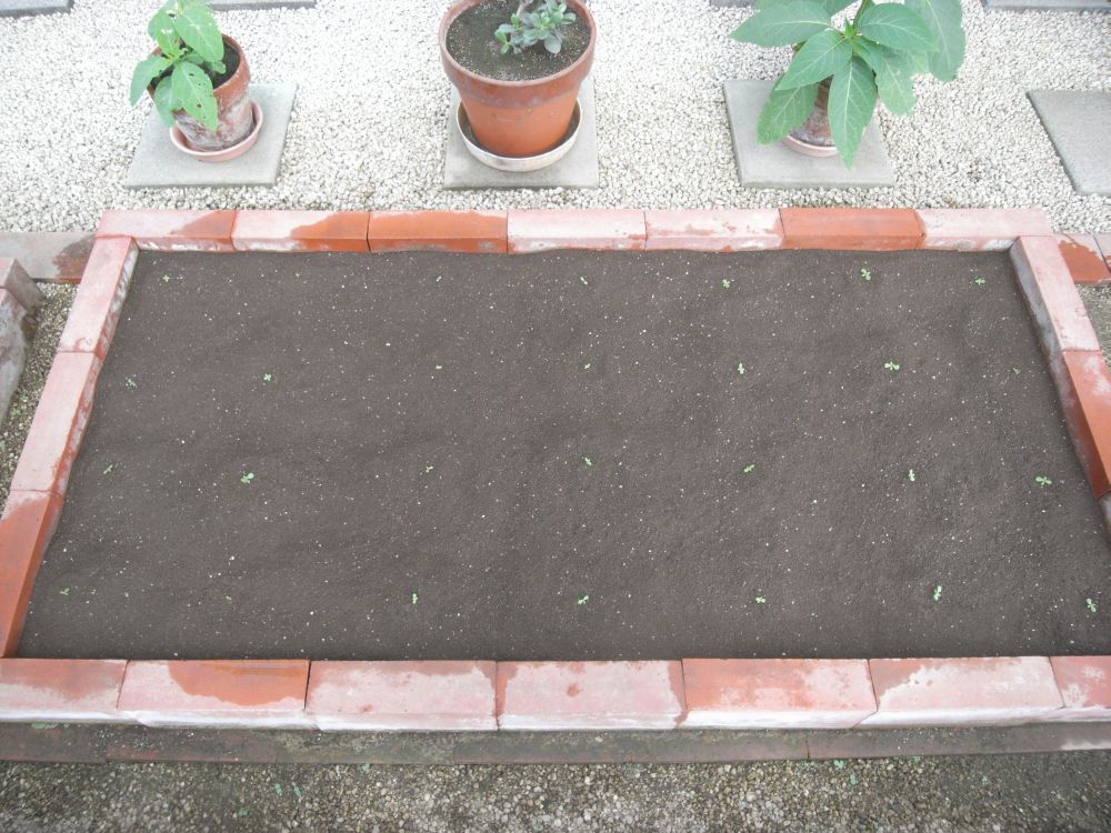 �c�̐A���t����ƂP�T