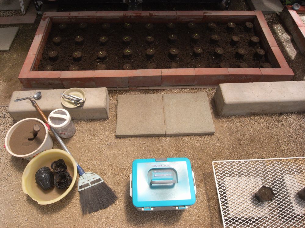 �c�̐A���t����ƂP�W