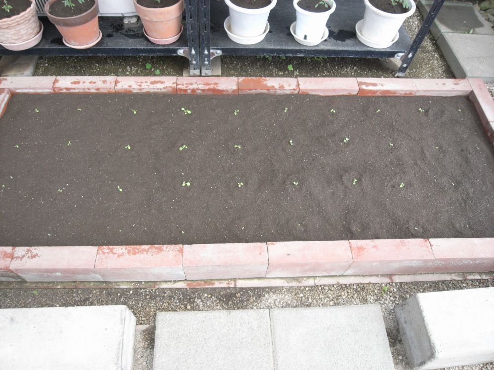 �c�̐A���t����ƂP�X