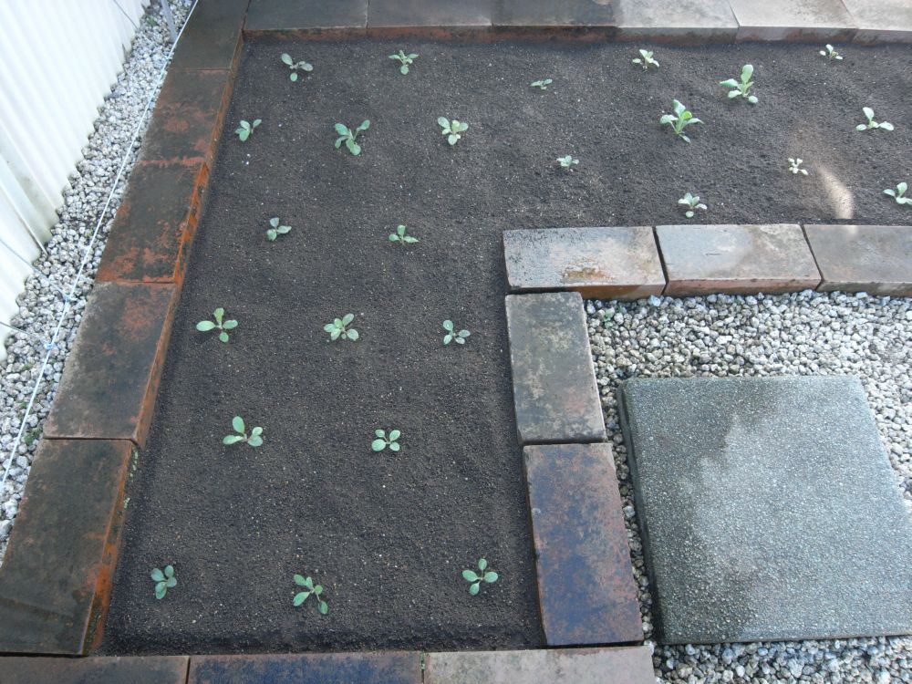 �c�̐A���t����ƂQ�O