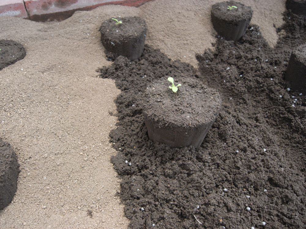 �c�̐A���t����ƂQ�R