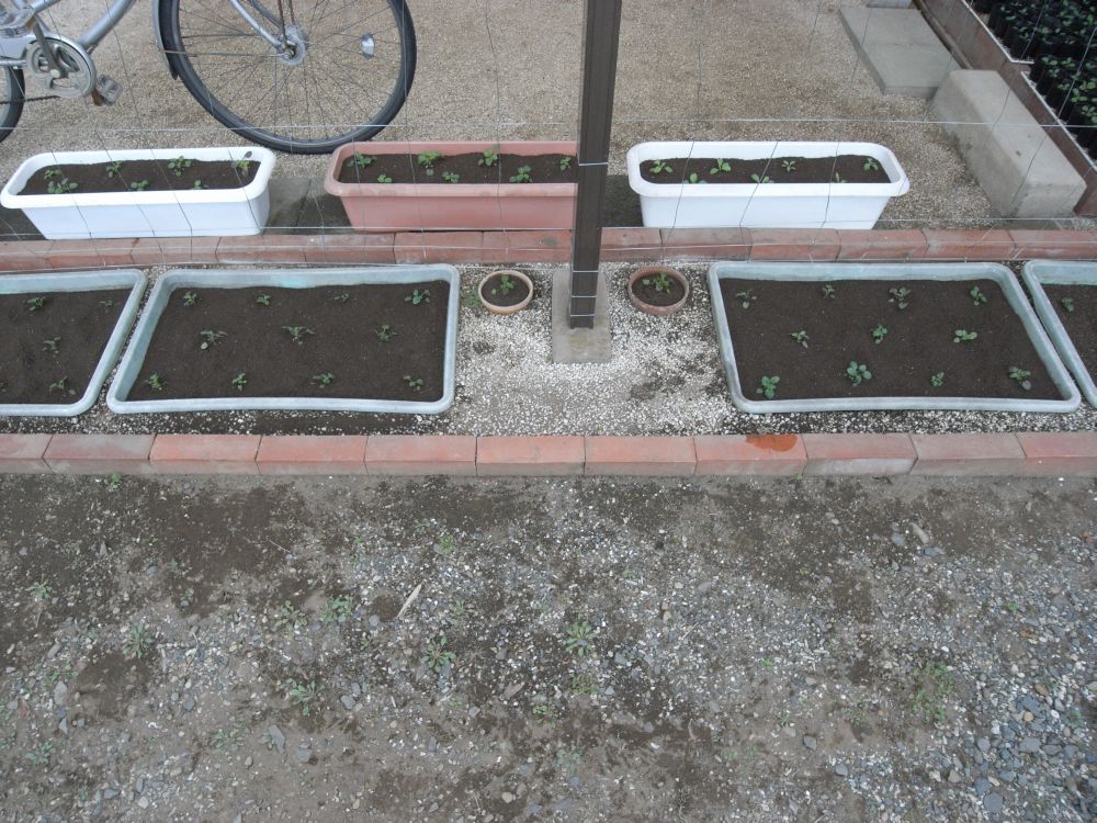 �c�̐A���t����ƂR�R