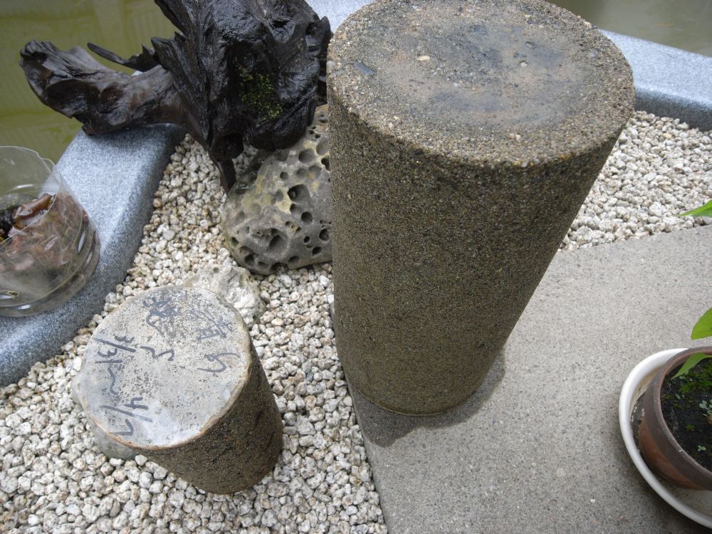 �X�C�����Q�U