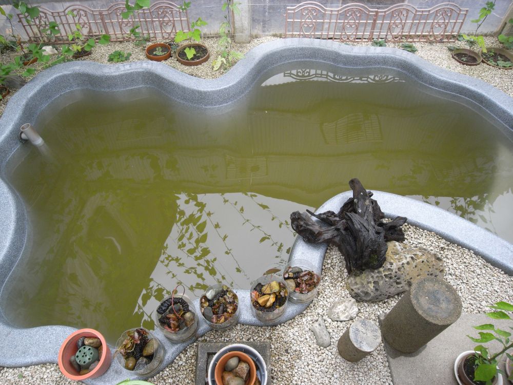 �X�C�����Q�V