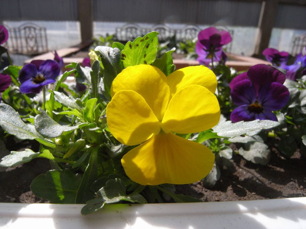 �r�I���Q�P