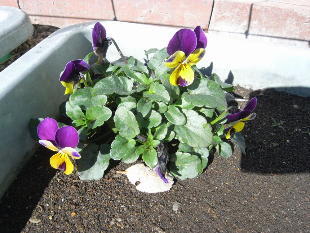 �r�I���Q�Q