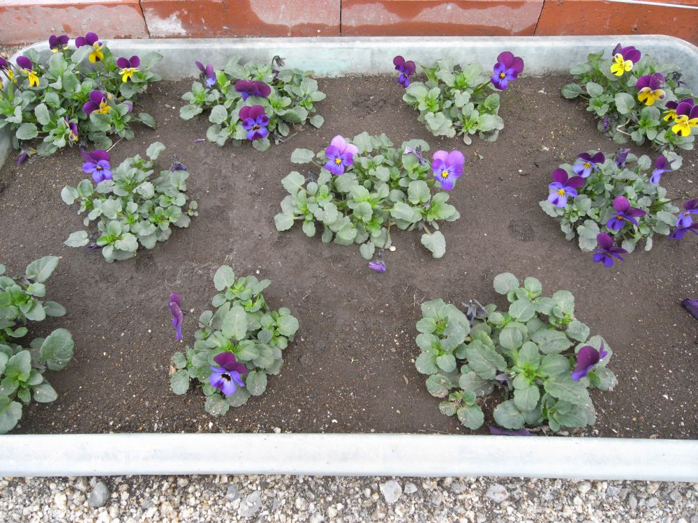 �r�I���Q�S