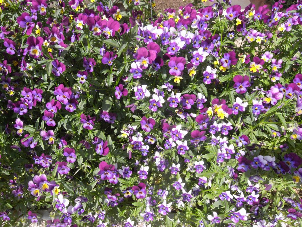 �r�I���Q�T