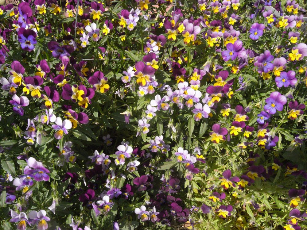 �r�I���Q�V