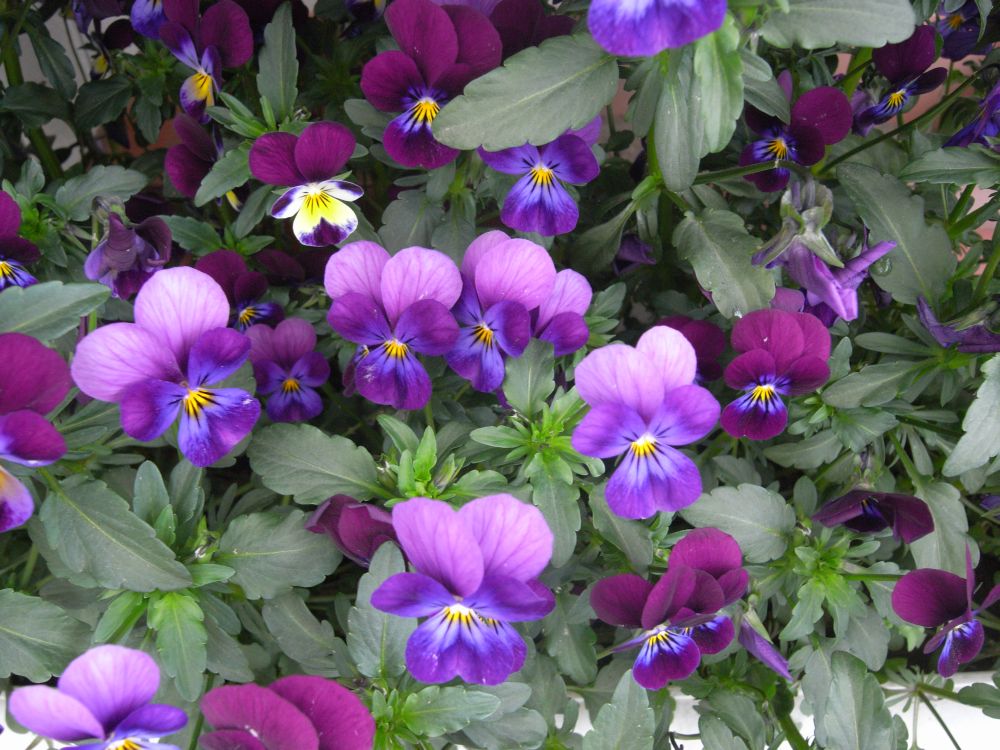 �r�I���Q�X