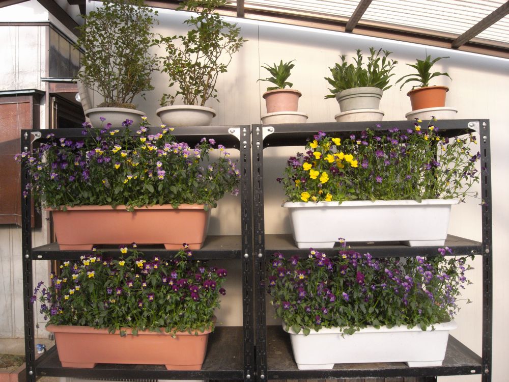 �r�I���R�O