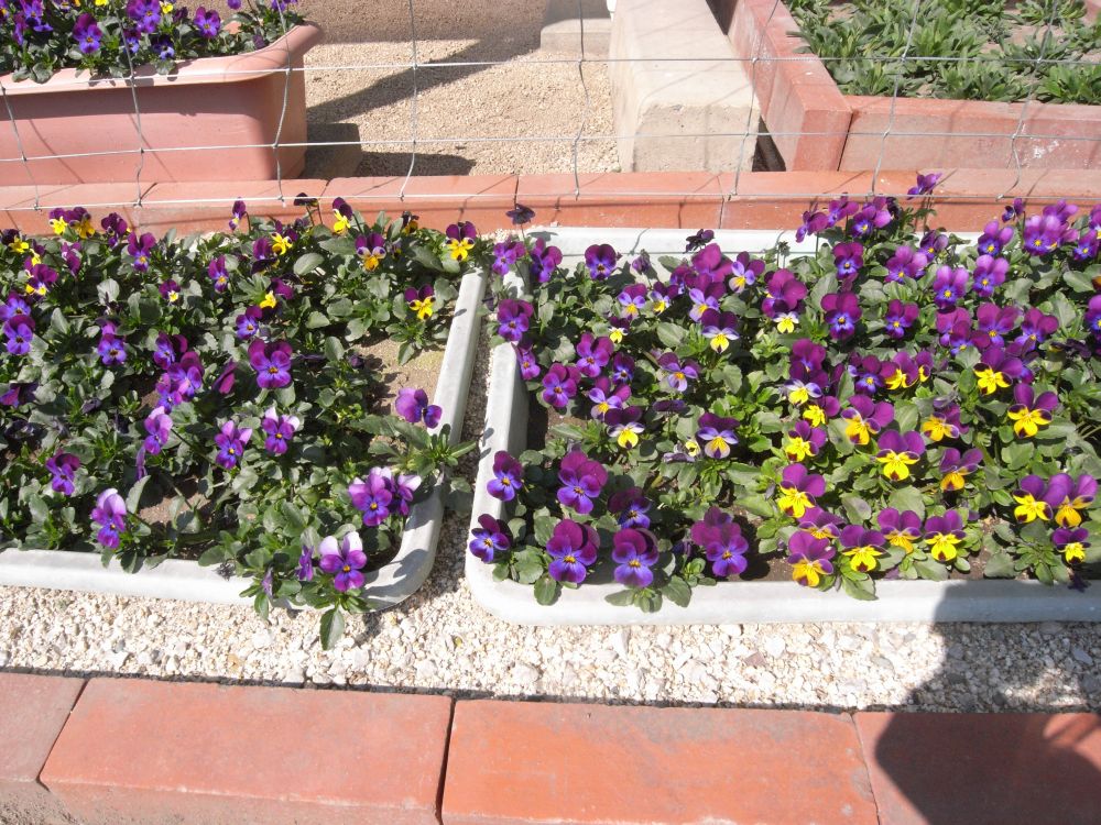 �r�I���R�P