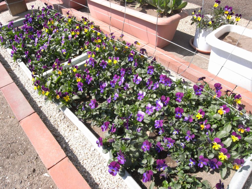 �r�I���R�S