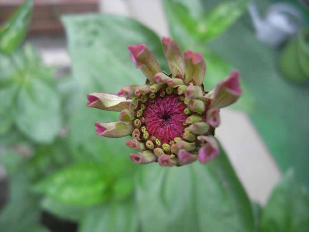 �W�j�A�P�O