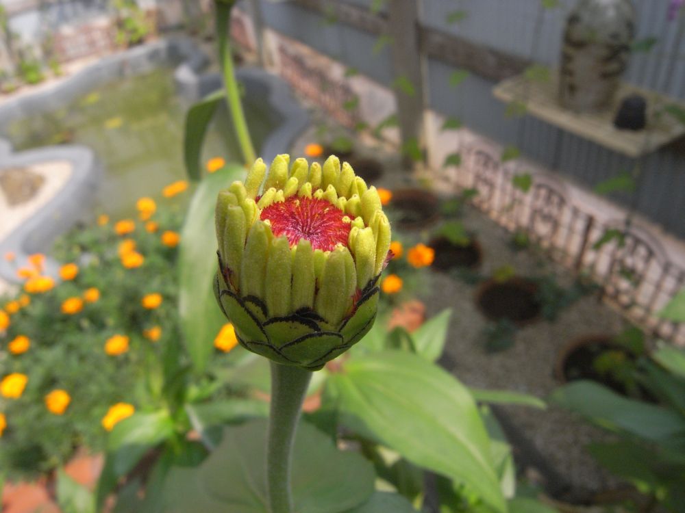 �W�j�A�P�P