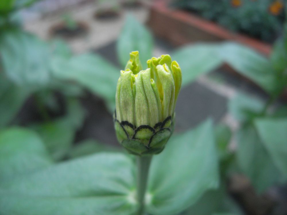 �W�j�A�P�Q