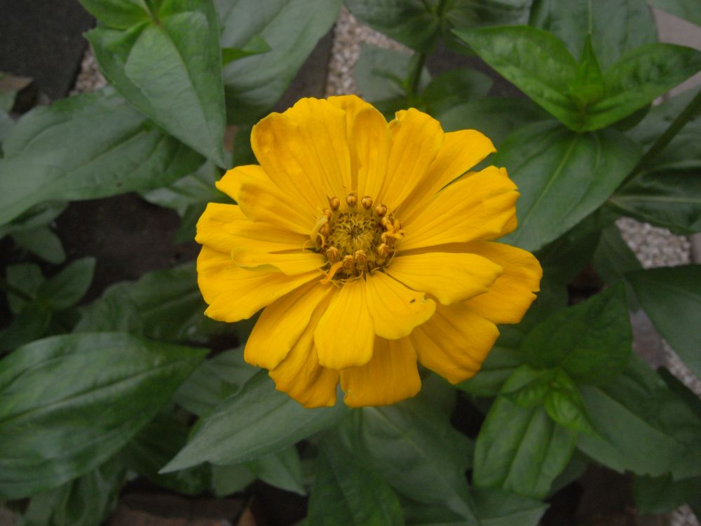 �W�j�A�P�U