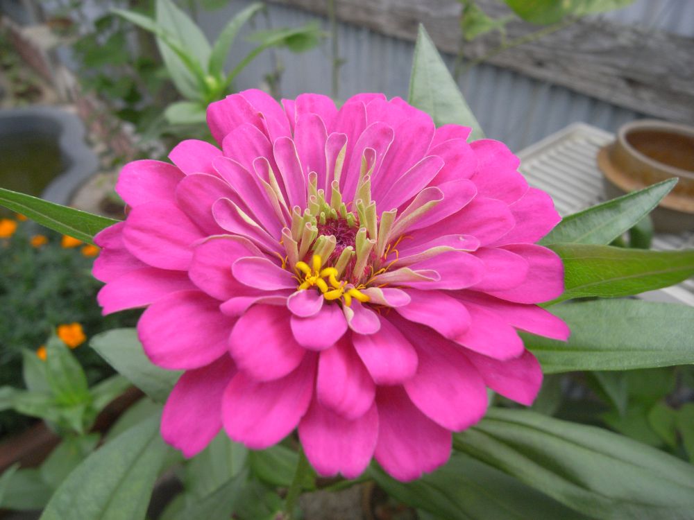 �W�j�A�Q�Q