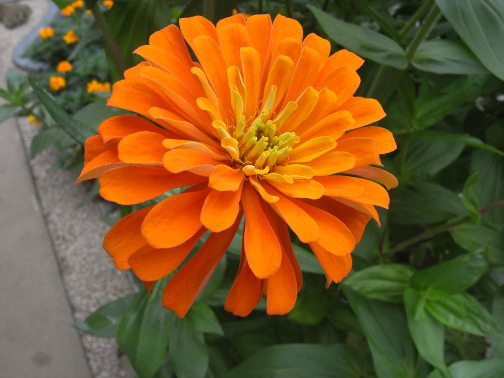 �W�j�A�Q�R