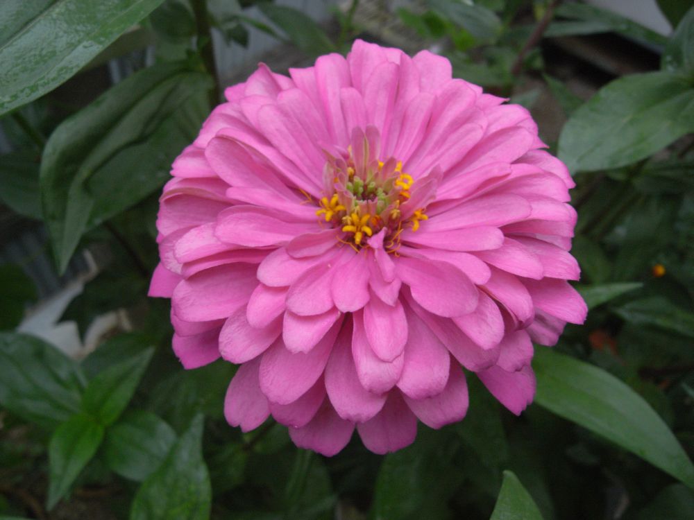 �W�j�A�Q�W