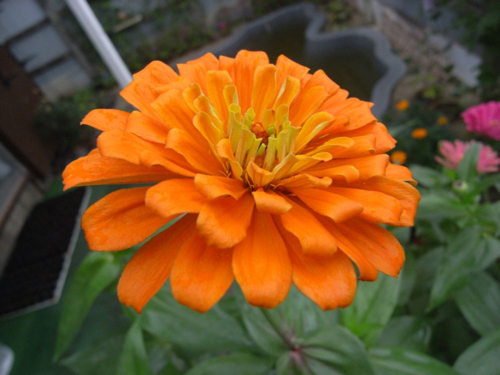 �W�j�A�Q�X