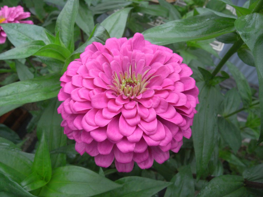 �W�j�A�R�O