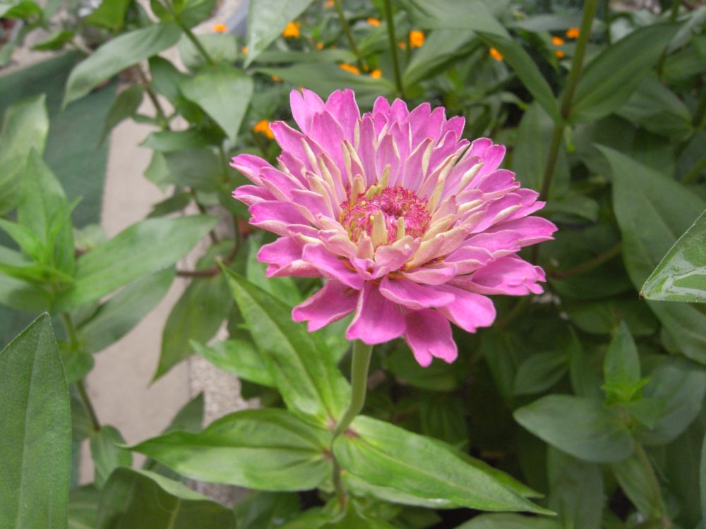 �W�j�A�R�Q