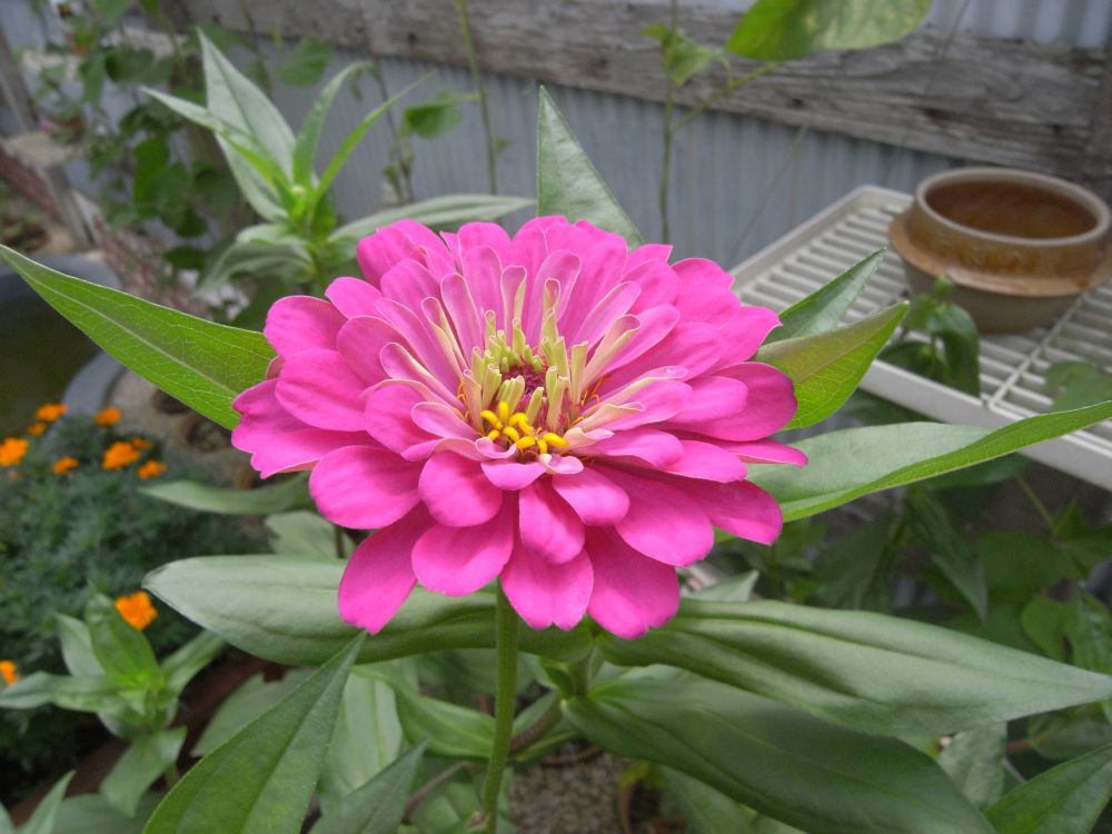 �W�j�A�R�R