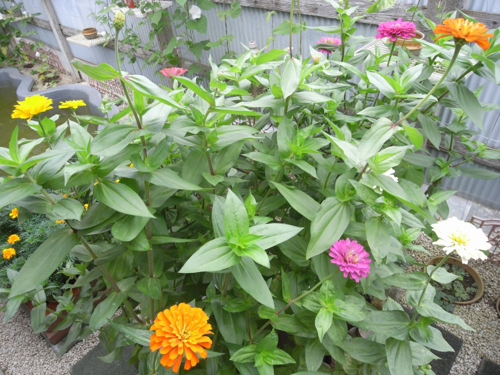 �W�j�A�R�T