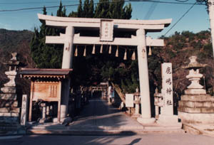 �����_��