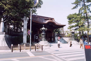 ���ʓ���