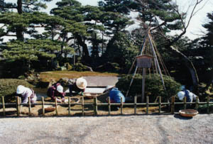 �����Ǘ�