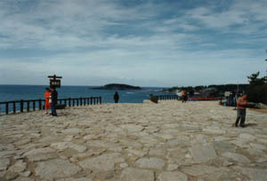 ���q�V�L��