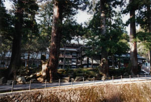 �����S�i