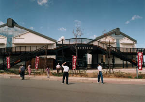 �o�_�莞���