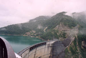 �����_��